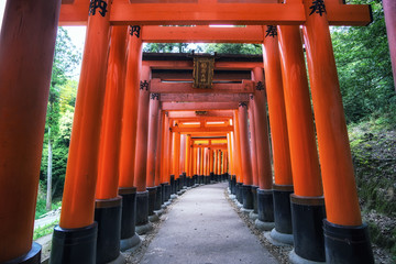 fushimi inari taisha gates