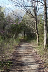 The nature trail on a sunny spring day.