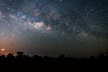 Night sky landscape of The Milky way above  forest.