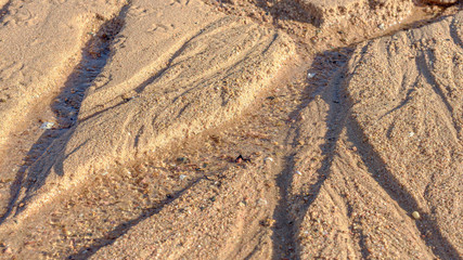 Fototapeta na wymiar Natural water channels formed on a sandy beach by a retreating tide