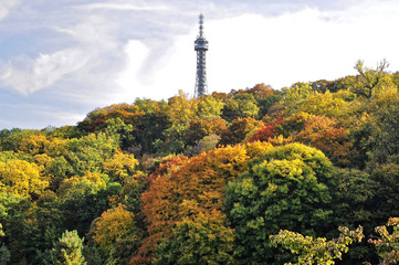 Obraz premium Tower in between the colourful trees