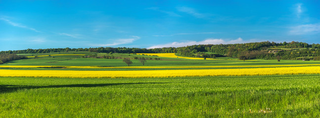 Landschaft mit Rapsfelder, Windräder Panorama