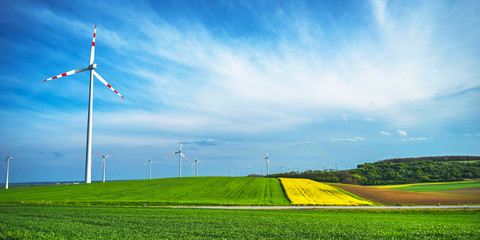 Rapeseed and windwheels with blue Sky
