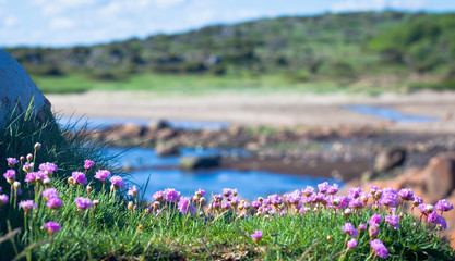 Landscape, The west coast of Sweden