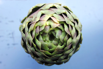 Obraz premium Artichoke