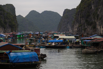 Fototapeta na wymiar Floating Village Cat Ba Vietnam