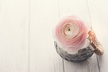 Obraz na płótnie Canvas Pink ranunculus on a white wooden background