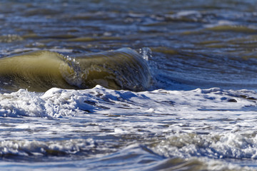 Wave Upper Adriatic Sea