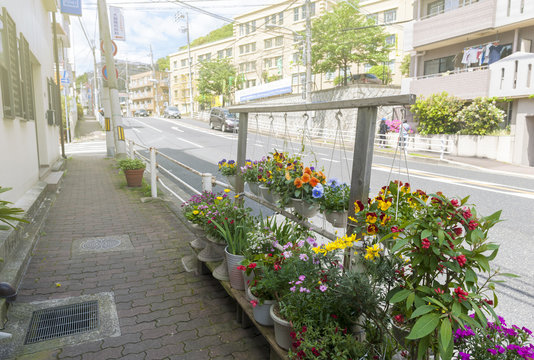 Colourful decorating flowers on footpath in a city in Japan