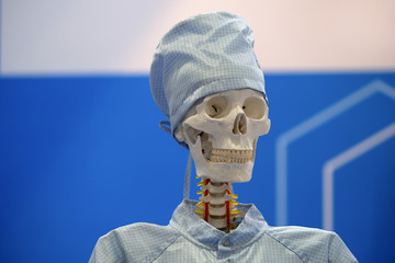 Comical portrait of a skeleton