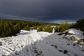 Obraz premium Snow on the dirt road