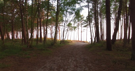 Sunrise of sun setting over Baltic sea on calm morning. Aerial shoot.