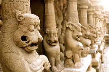 Pallava Lion