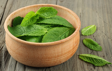 Mint leaf green plants on wood plate on old wood background