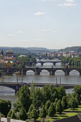Naklejka premium Bird view of bridges and lawn near to it