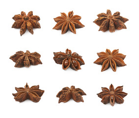 Chinese star anise seed isolated