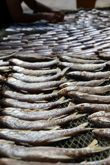 Working on drying salty ocean fish on fishnet rack under strong sunlight