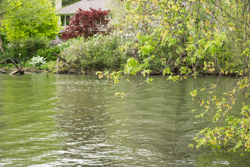 Meyer's Lake