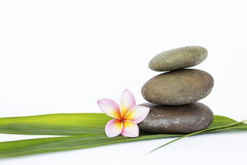 Obraz na płótnie Canvas Zen stone on green bamboo leaf and flower on white background, spa concept background