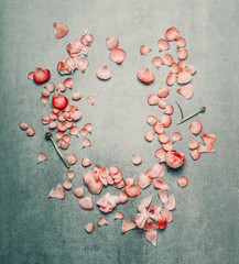 Beautiful floral frame with pink flowers petals on  turquoise rustic background,  flat lay, top view