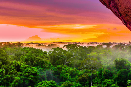 Fototapeta View on purple sunset over rainforest by Leticia in Colombia
