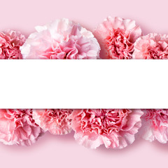 Mother's day concept of pink carnation flowers background with copy space