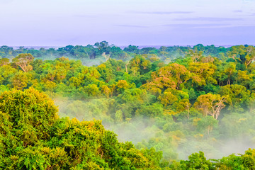 Morning fog over rain forest by Leticia in Colombia