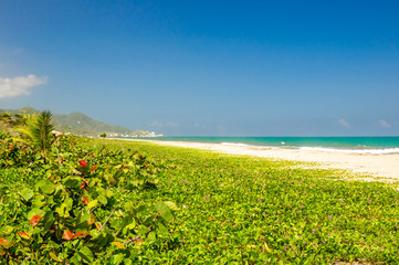 View on natural beach of Arrecifes in national park Tayrona in Colombia
