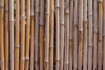 bamboo texture background