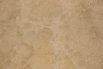 Fototapeta na wymiar Clean sand texture or background