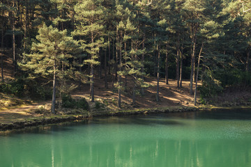 Beautiful vibrant landscape image of old clay pit quarry lake with unusual colored green water