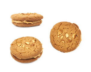 Peanut butter homemade cookie isolated