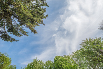 Blue Sky 