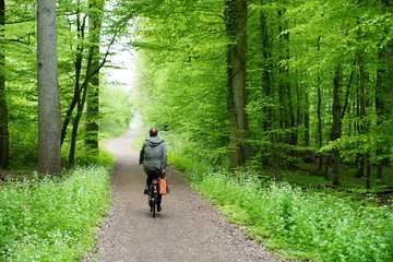 Waldweg,Radtour,Frühlingswald