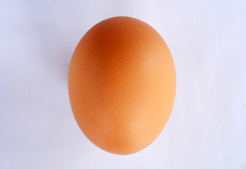 Egg on white background 