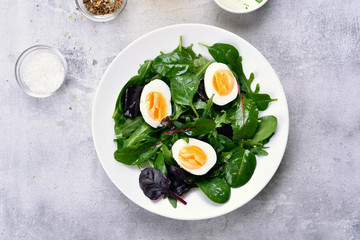 European green mix salad