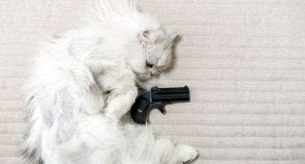 猫と銃