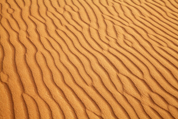 Red sand desert