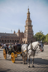 Obraz na płótnie Canvas Sevillian carriage