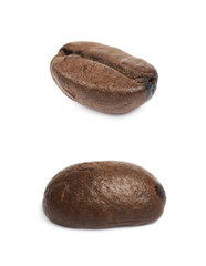 Single coffee bean isolated