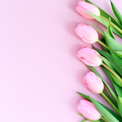Fototapeta premium Pink tulips on the pink background. Flat lay, top view. Valentines background.