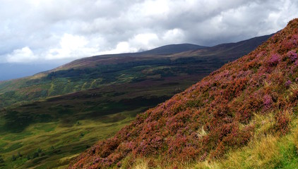 Ausblick von Berg in den schottischen Highlands