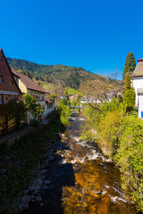 Der kleine Nebenfluss Gutach wie er druch den Ort Hornberg im Schwarzwald fließt