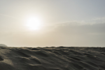 砂浜（アップ）