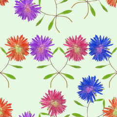 Aster. Seamless pattern texture of flowers. Floral background, photo collage