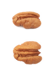 Single pecan nut isolated
