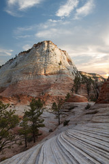 view of nice giant rock in Zion  national park  