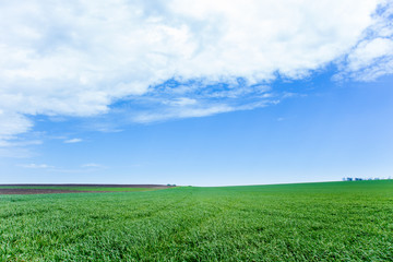 Green grass, a distant prospect, clean air and a beautiful blue sky