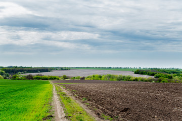 Green grass, a distant prospect, clean air and a beautiful blue sky