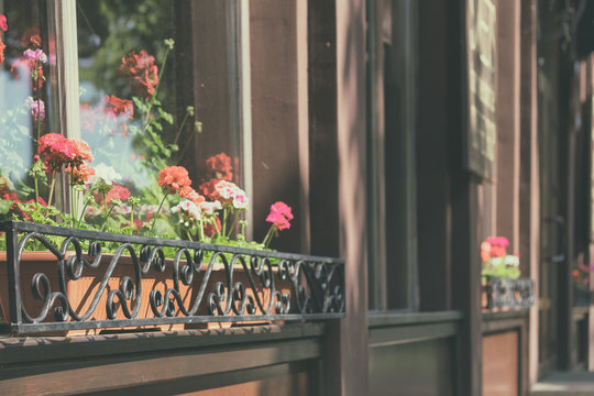 Street cafe flowers and herbs decor concept.